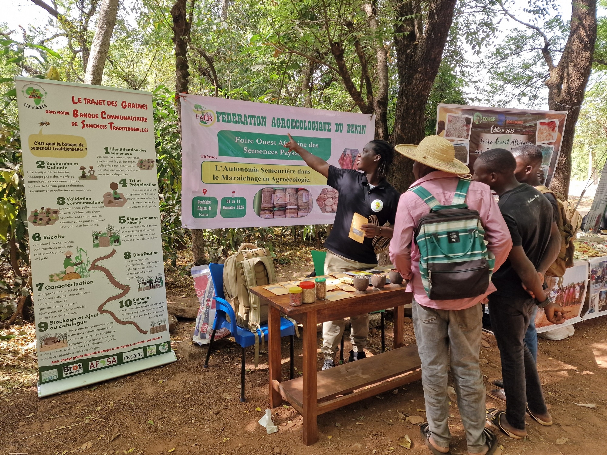 Plantation d'arbres fruitiers — Houakpè-Daho, Sèyigbé, Toligbé